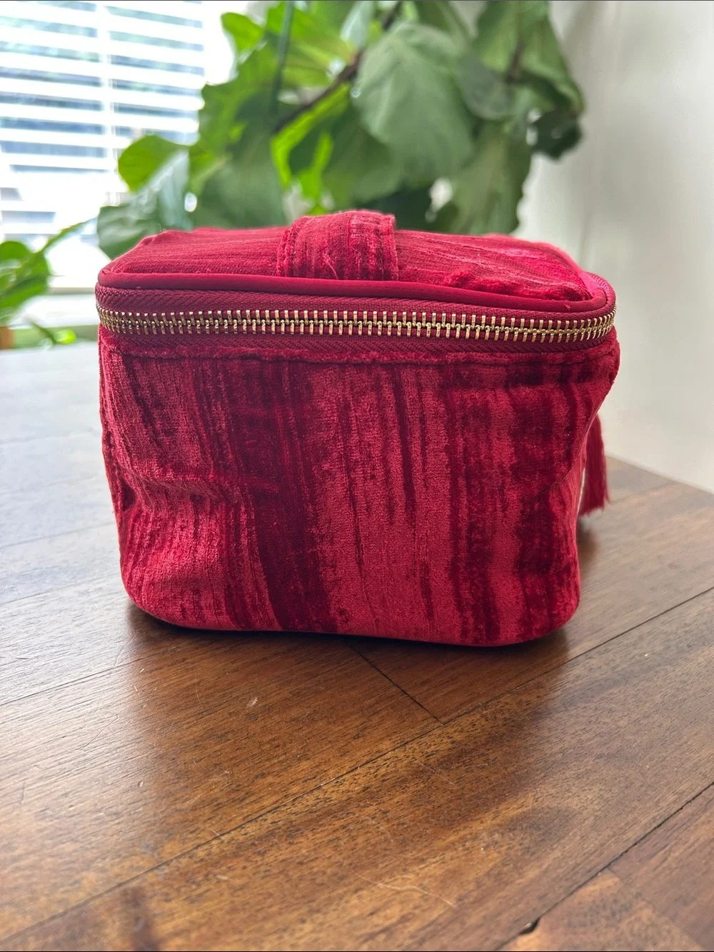 Sézane Mini Vanity Red Crushed Velvet Zip Cosmetic Makeup Case Tassel Zipper